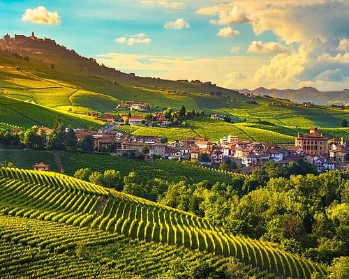 Vineyards and rolling hills in Southern Europe